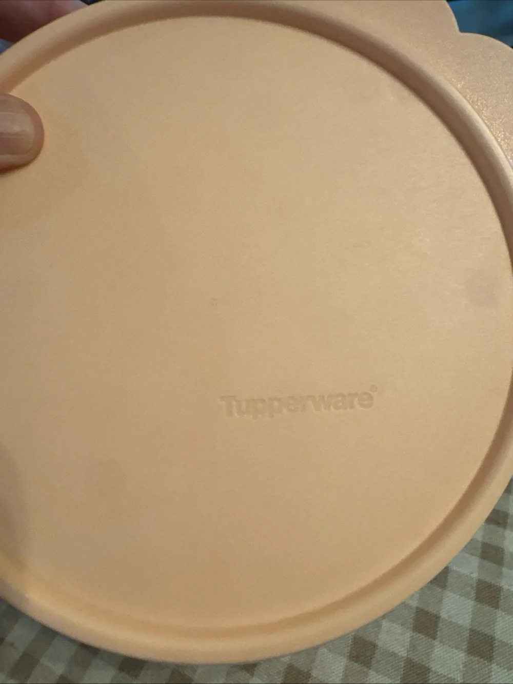 Peach-Lid Plastic Food Storage Bowl - Airtight Container
